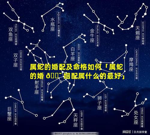 属蛇的婚配及命格如何「属蛇的婚 🐯 姻配属什么的最好」